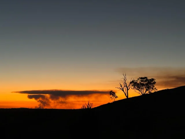 “The beauty of a bushfire is a paradox—golden flames dancing against the night, the scent of eucalyptus rising in the heat. 

Yet, within that beauty lies a stark reminder of our reality: destruction and renewal, loss and resilience, the fragile balance of life in this land we call home.”

#skyline
#bushfire